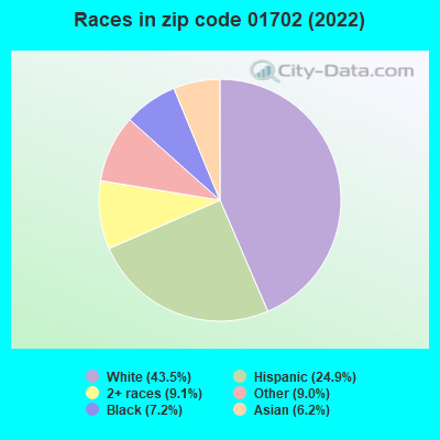 Races in zip code 01702 (2021)