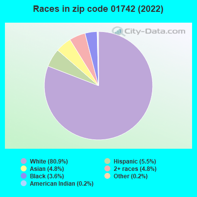 Races in zip code 01742 (2021)
