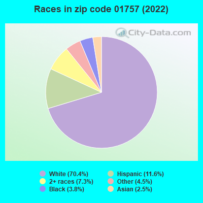 Races in zip code 01757 (2019)