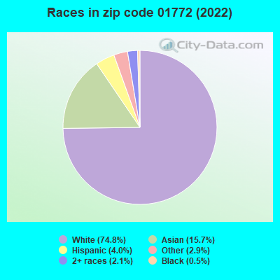 Races in zip code 01772 (2019)