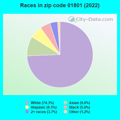 Races in zip code 01801 (2022)