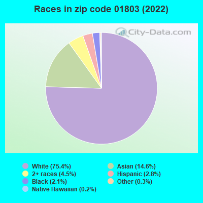 Races in zip code 01803 (2019)