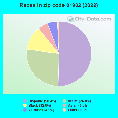 Races in zip code 01902 (2019)