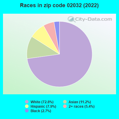 Races in zip code 02032 (2019)