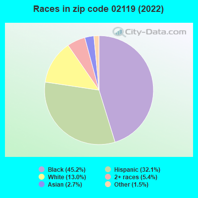 Races in zip code 02119 (2021)