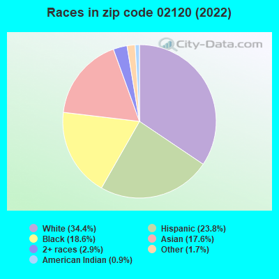 Races in zip code 02120 (2021)