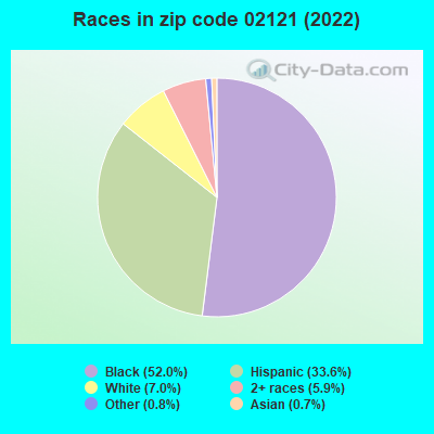 Races in zip code 02121 (2019)