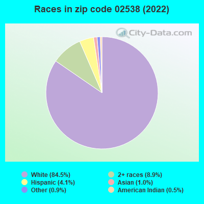 Races in zip code 02538 (2022)