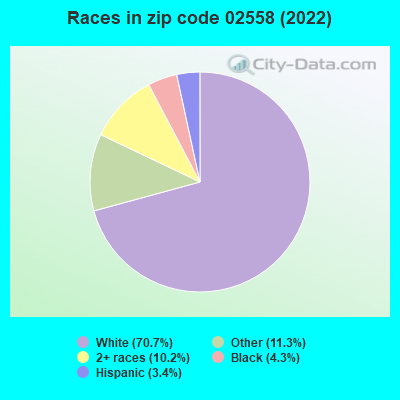 Races in zip code 02558 (2021)
