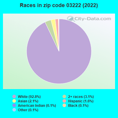 Races in zip code 03222 (2022)