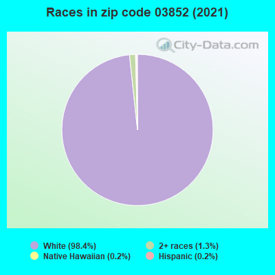 Races in zip code 03852 (2019)
