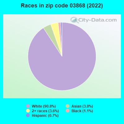 Races in zip code 03868 (2022)