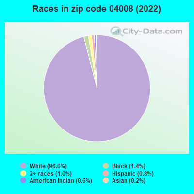 Races in zip code 04008 (2019)