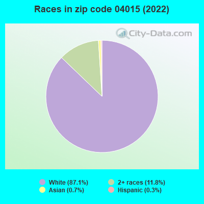Races in zip code 04015 (2022)