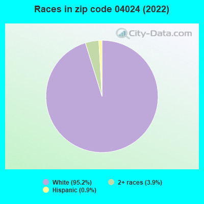 Races in zip code 04024 (2022)