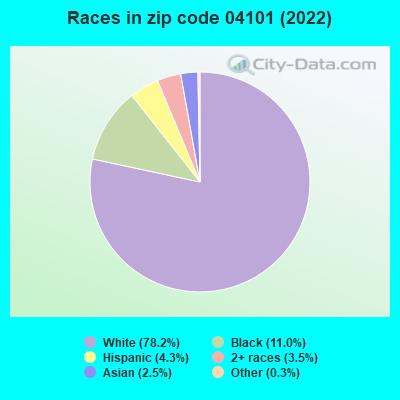 Races in zip code 04101 (2022)