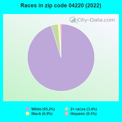 Races in zip code 04220 (2022)
