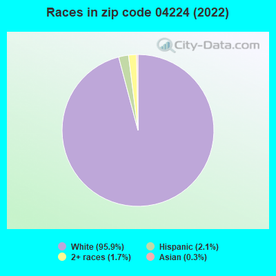 Races in zip code 04224 (2022)