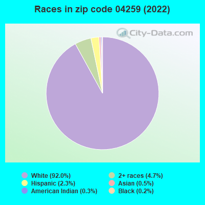 Races in zip code 04259 (2019)