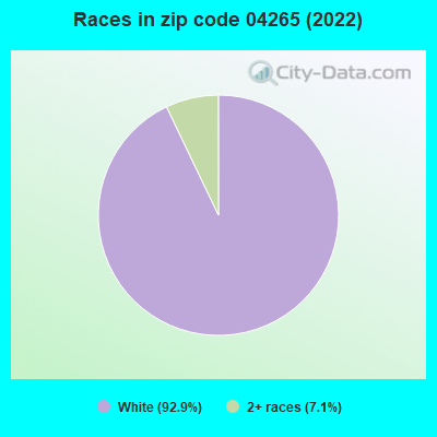 Races in zip code 04265 (2022)