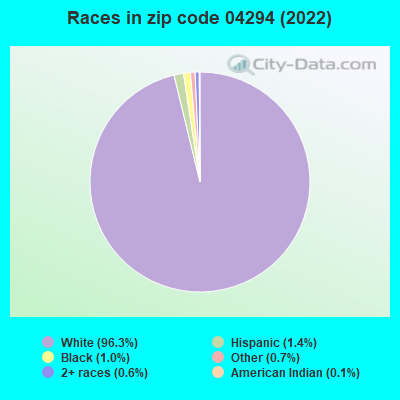 Races in zip code 04294 (2019)