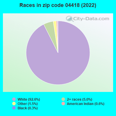 Races in zip code 04418 (2019)
