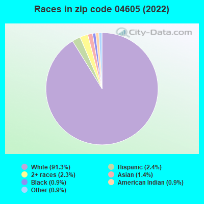 Races in zip code 04605 (2019)