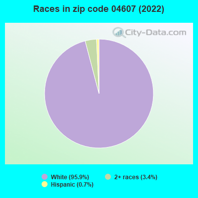 Races in zip code 04607 (2019)