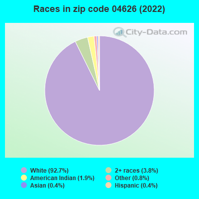 Races in zip code 04626 (2019)