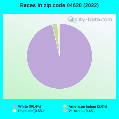 Races in zip code 04628 (2022)