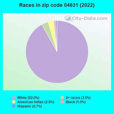 Races in zip code 04631 (2019)