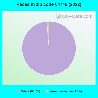 Races in zip code 04746 (2022)