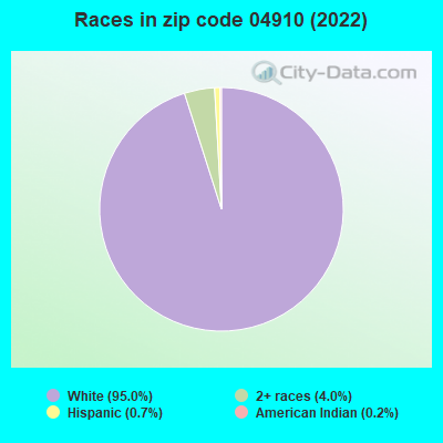 Races in zip code 04910 (2019)