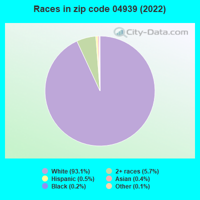 Races in zip code 04939 (2022)