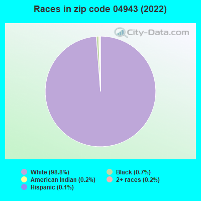 Races in zip code 04943 (2019)