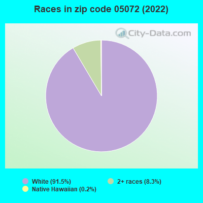 Races in zip code 05072 (2022)