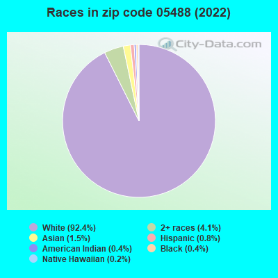 Races in zip code 05488 (2019)