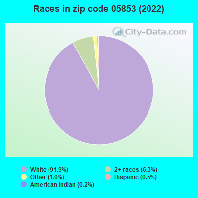 Races in zip code 05853 (2019)