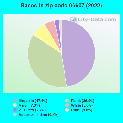 Races in zip code 06607 (2022)