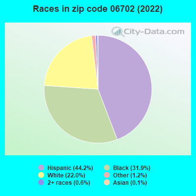 Races in zip code 06702 (2019)