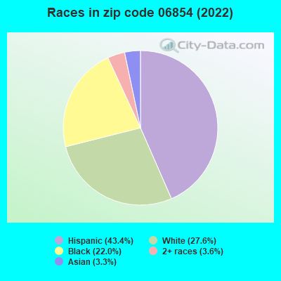 Races in zip code 06854 (2021)