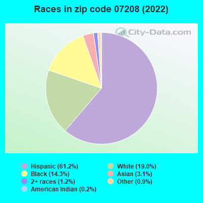 Races in zip code 07208 (2021)