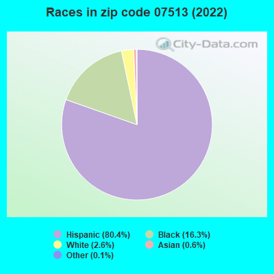 Races in zip code 07513 (2021)