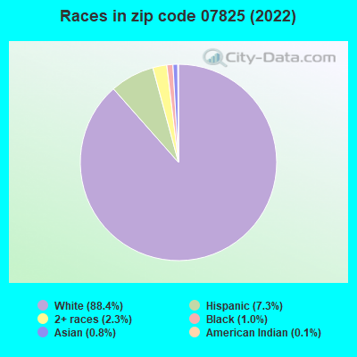 Races in zip code 07825 (2019)