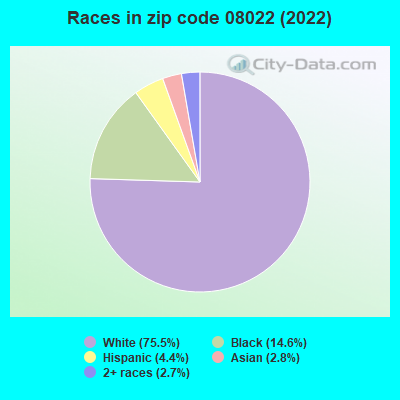 Races in zip code 08022 (2021)