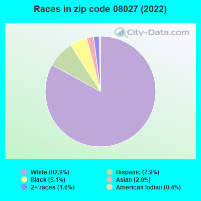 Races in zip code 08027 (2019)
