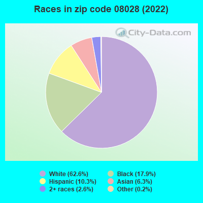 Races in zip code 08028 (2019)