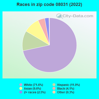 Races in zip code 08031 (2021)