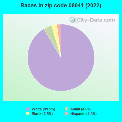 Races in zip code 08041 (2021)