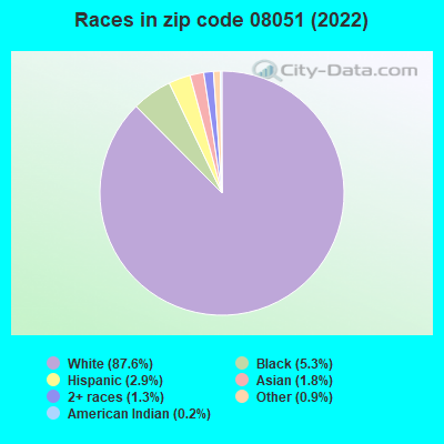 Races in zip code 08051 (2022)